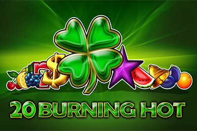 Egt Provide 20 Bh автомат Фугу